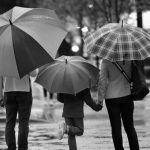 Canh En Nguyen Si Kha • Rainy Day Memories • 2023